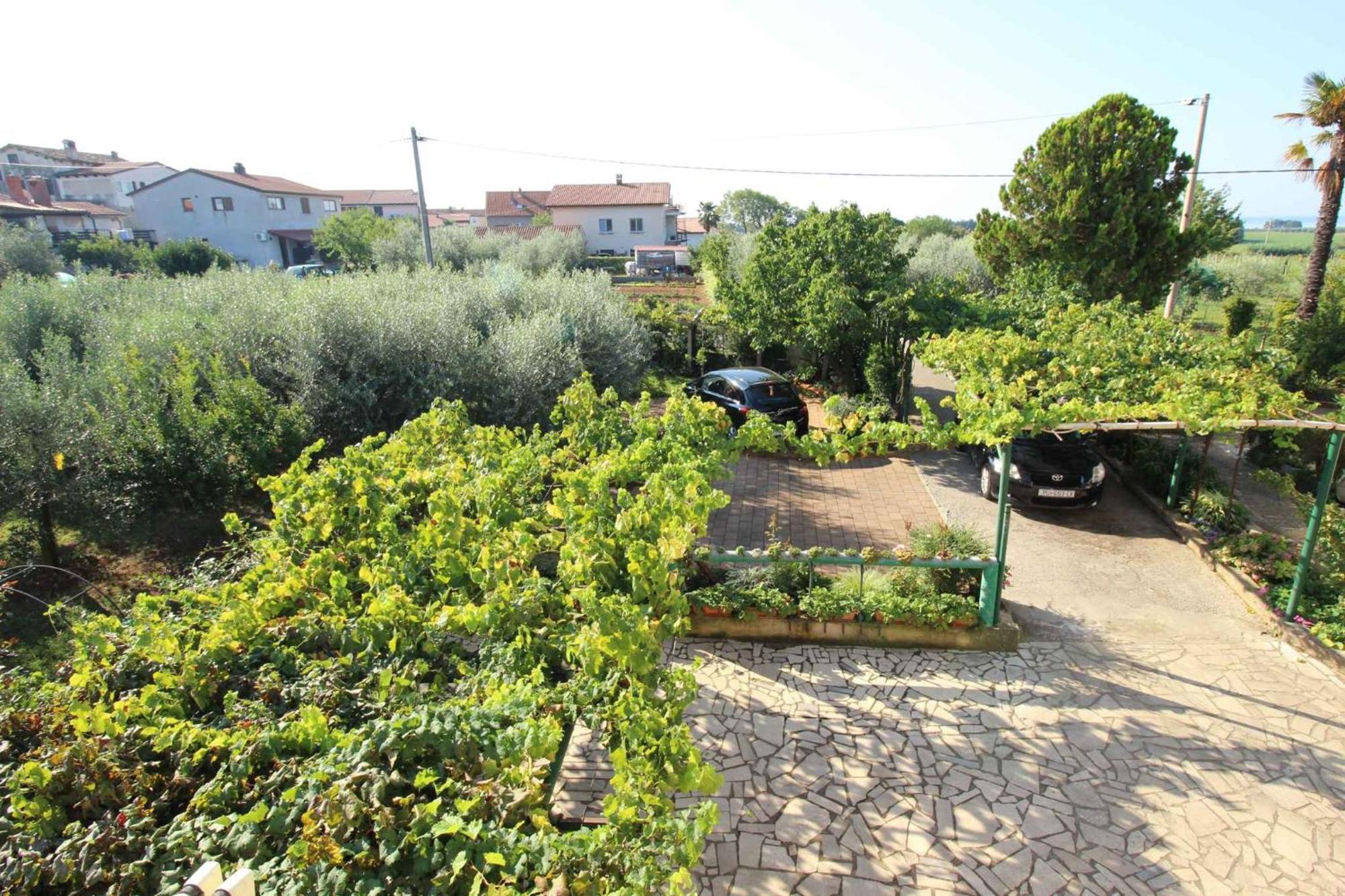 Apartments In Novigrad - Istrien 46738 Karpinjan Eksteriør bilde